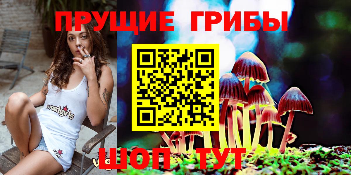 Псилоцибиновые грибы ЛСД Ливны